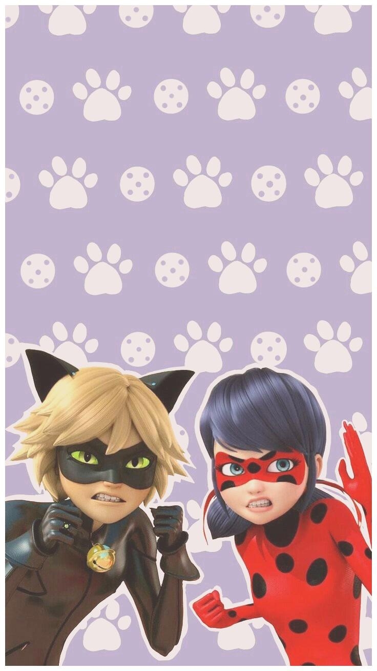 740x1310 Miraculous Ladybug and Cat Noir Wallpaper, Phone