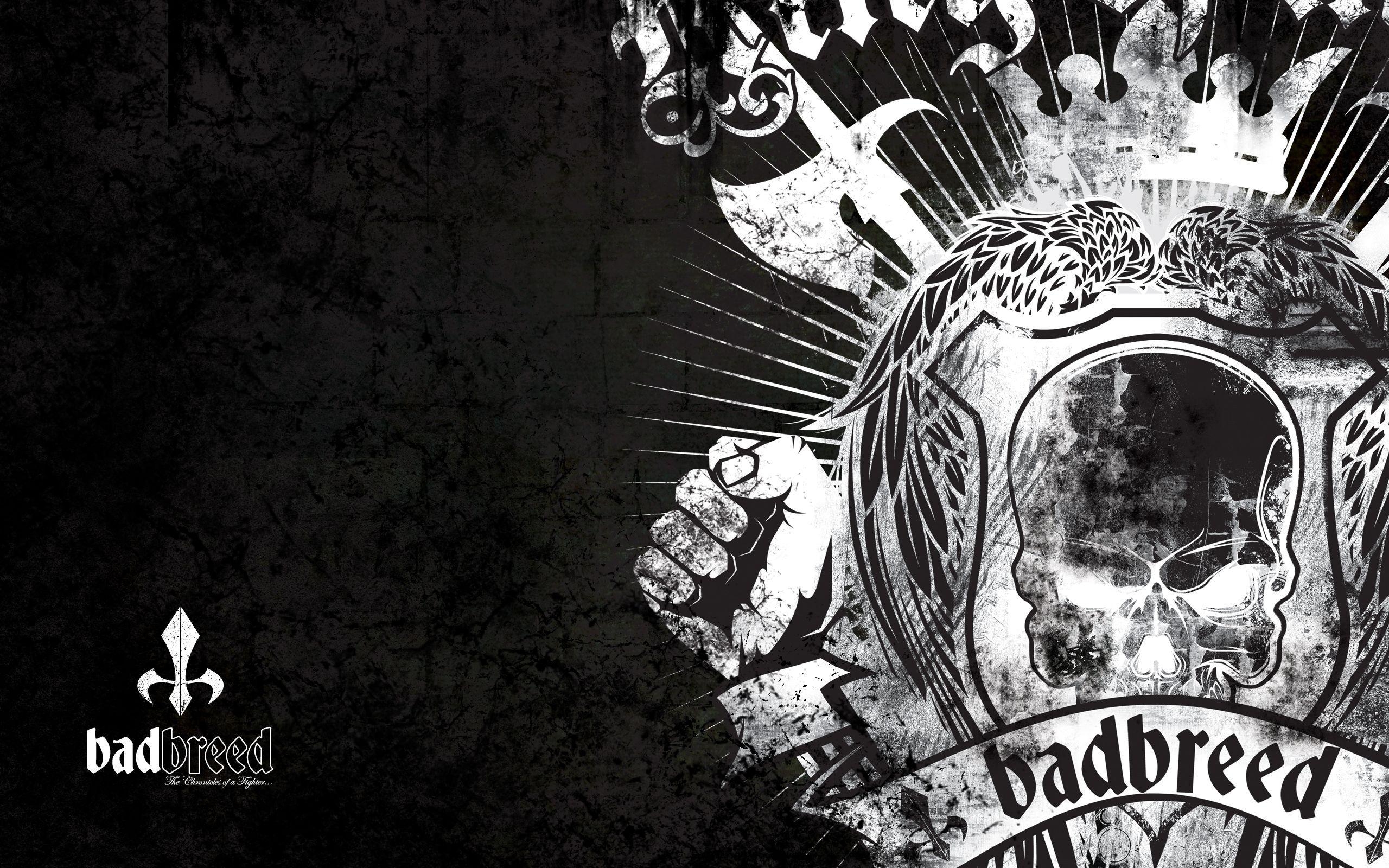 2560x1600 Affliction Wallpaper Affliction Modern High Resolution, Desktop