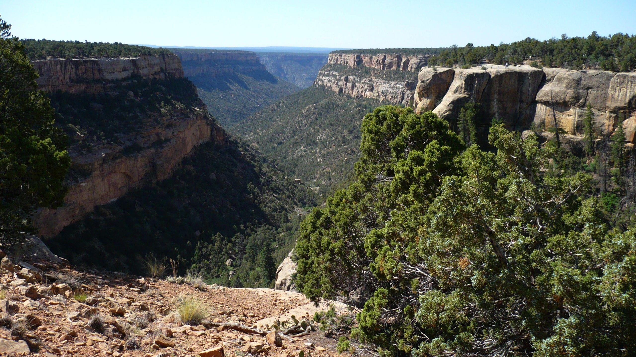 2560x1440 Canyon: Mesa Verde Canyon Photography USA National Park Colorado, Desktop