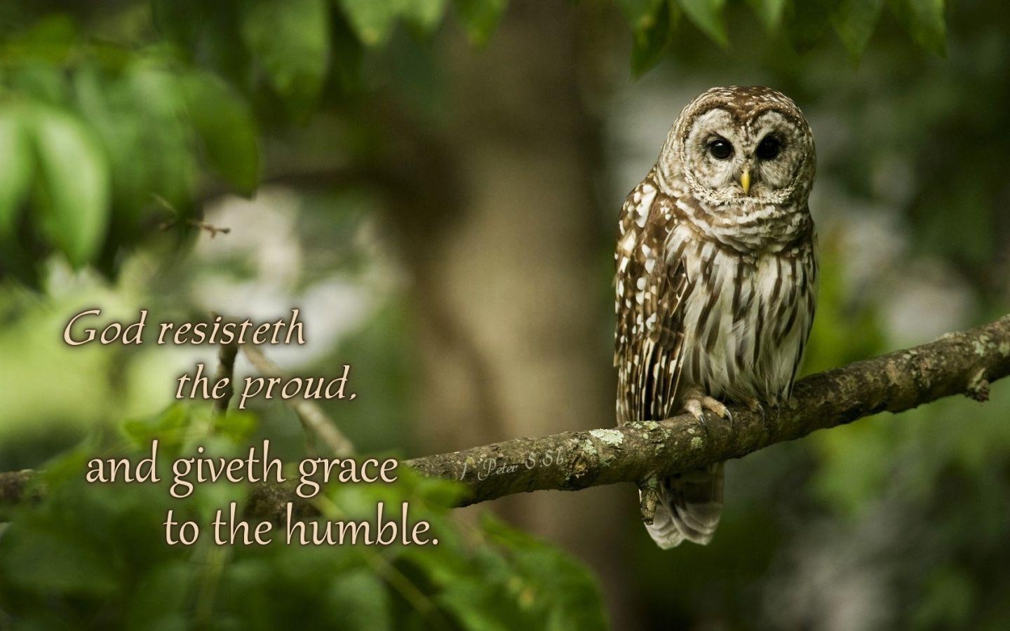 1440x900 gospel Wallpaper and Background, Desktop