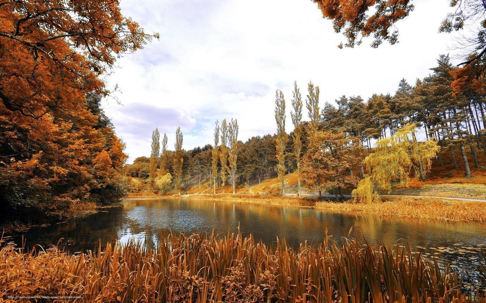 1600x1000 Download wallpaper phoenix park, dublin, landscape free desktop, Desktop