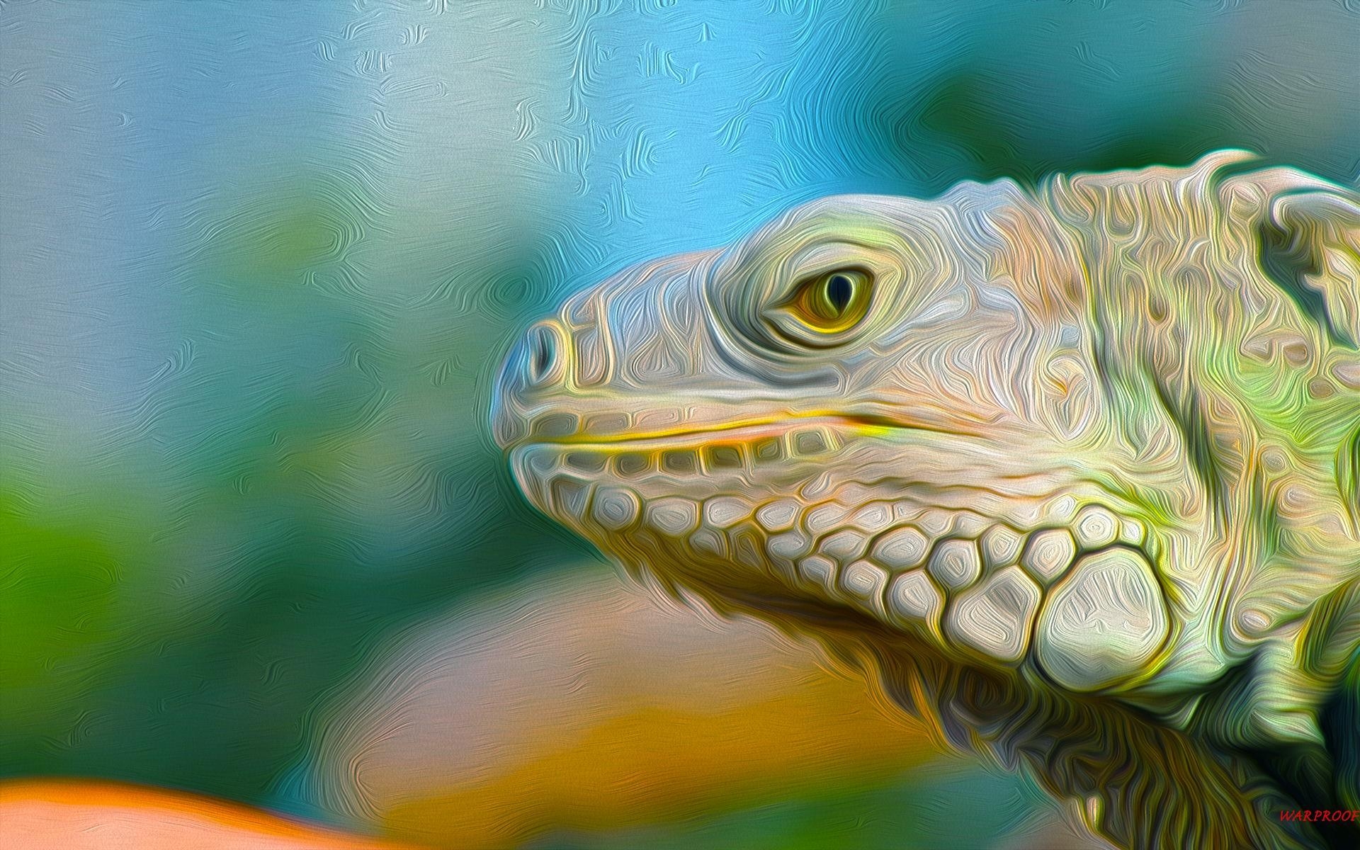 1920x1200 Iguana Wallpaper Image, Desktop