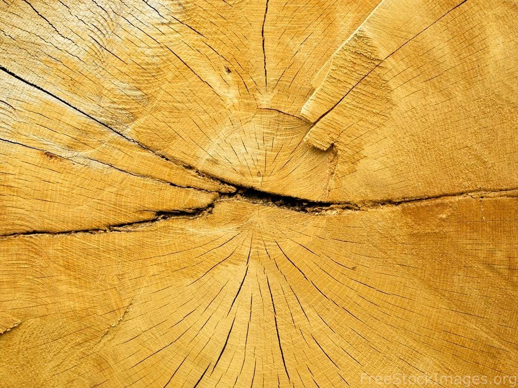 1030x770 Oak Wood, Desktop And Mobile Wallpaper, Desktop