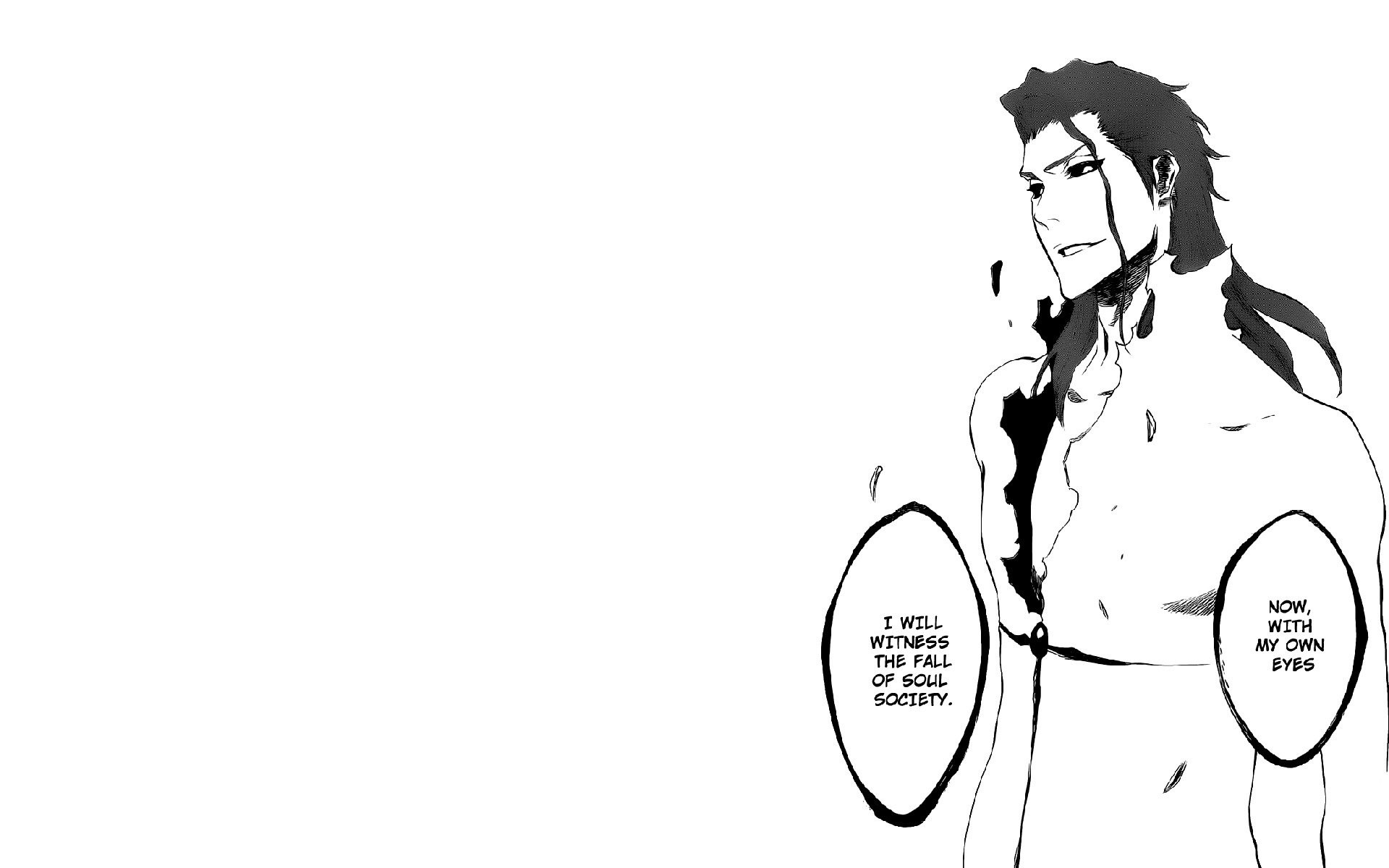 1920x1200 Sosuke Aizen Wallpaper, Desktop