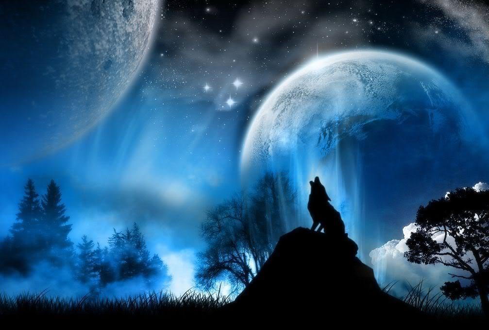 1010x680 Wolf Howling At The Red Moon Wallpaper. coolstyle wallpaper, Desktop