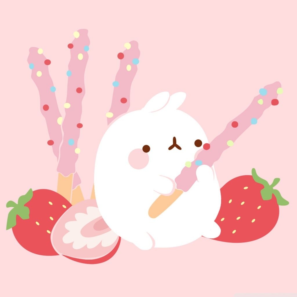 1030x1030 Molang Ultra HD Desktop Background Wallpaper for 4K UHD TV, Tablet, Phone