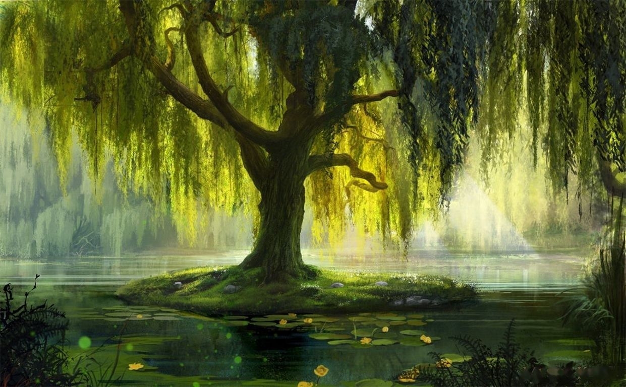 1250x770 Weeping Willow Wallpaper, Desktop