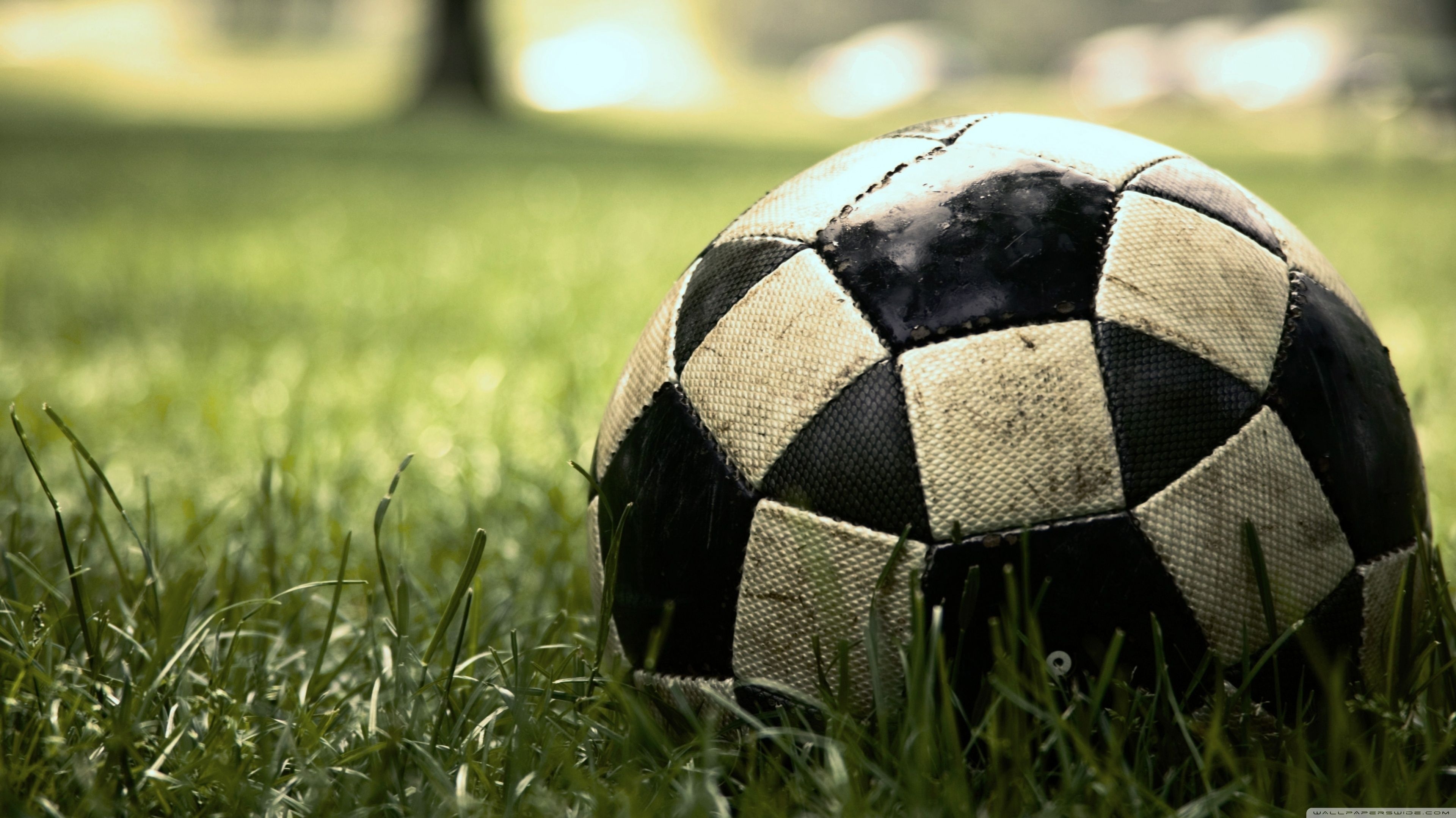 3840x2160 Soccer 4K Wallpaper Free Soccer 4K Background, Desktop