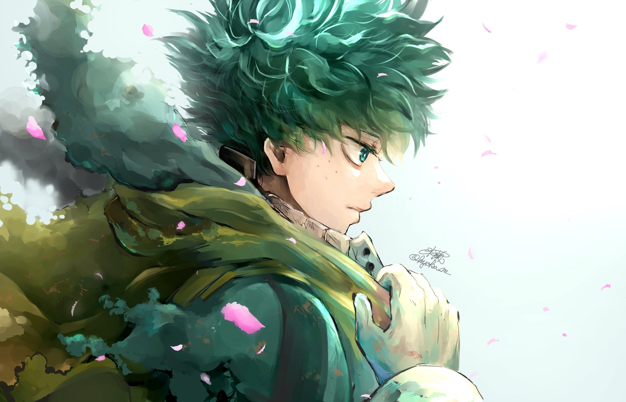 2050x1320 deku vigilante no Hero Academia Wallpaper, Desktop