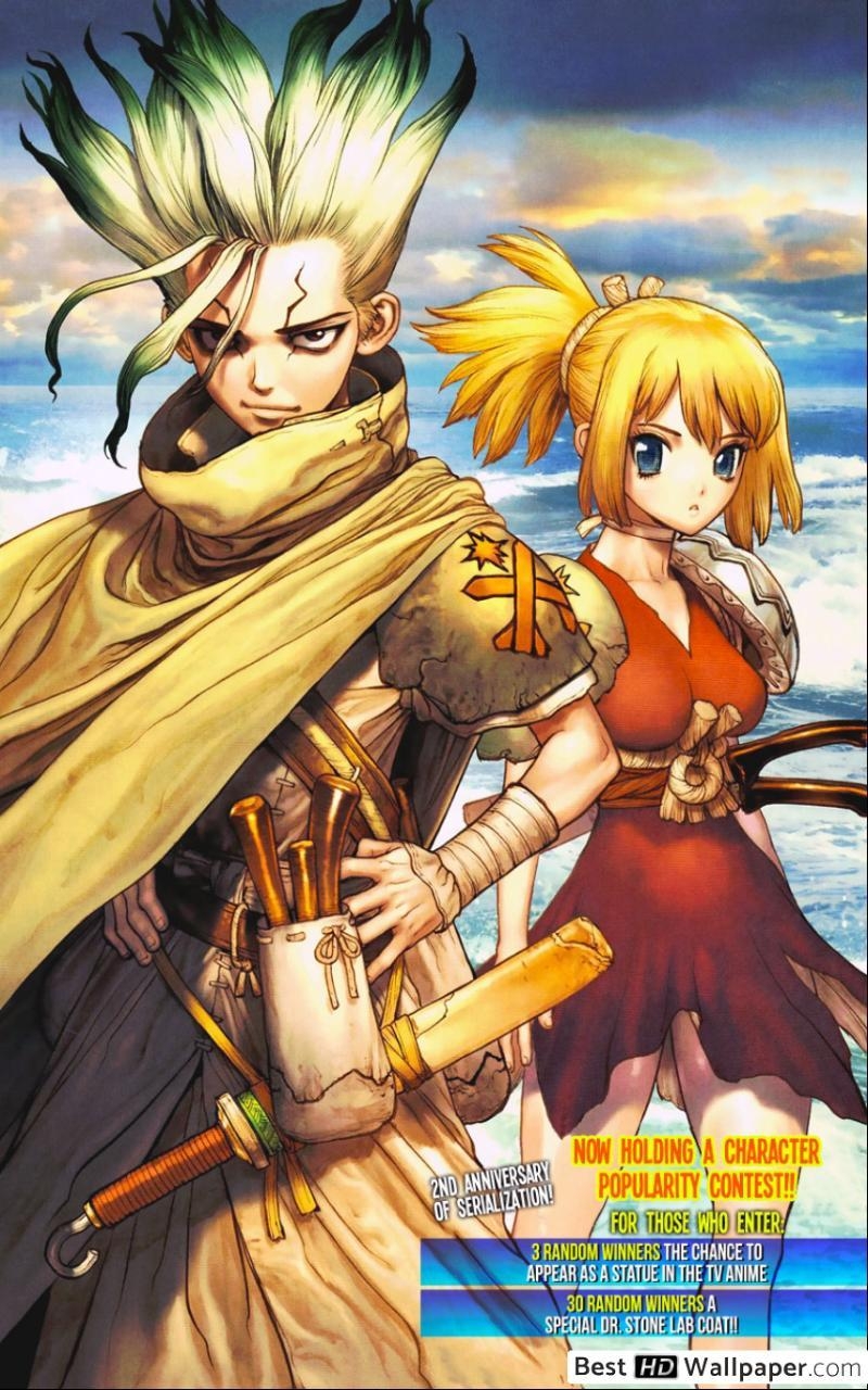 800x1280 Dr. Stone Anime HD wallpaper download, Phone