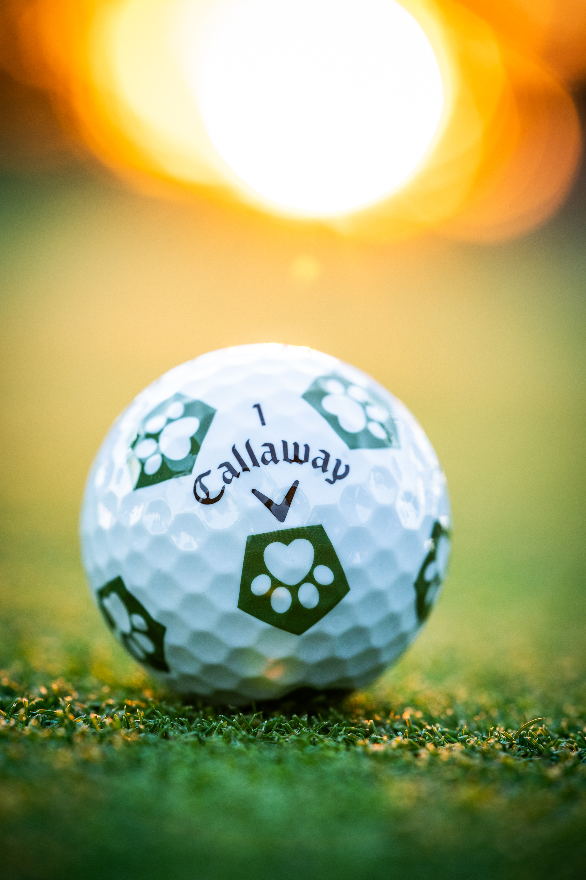 2000x3000 Callaway Golf upcoming Limited Edition Chrome Soft Dog Paw Truvis showcases Puppies & Golf, a nonprofit founded by our friend that protects and advocates for dogs in need, Phone