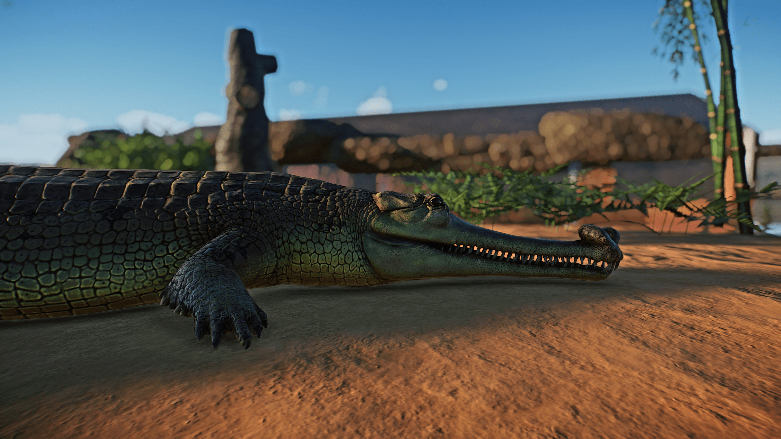 2560x1440 The Gharial. I Hope We Get More Aquatic Based Animals, Desktop