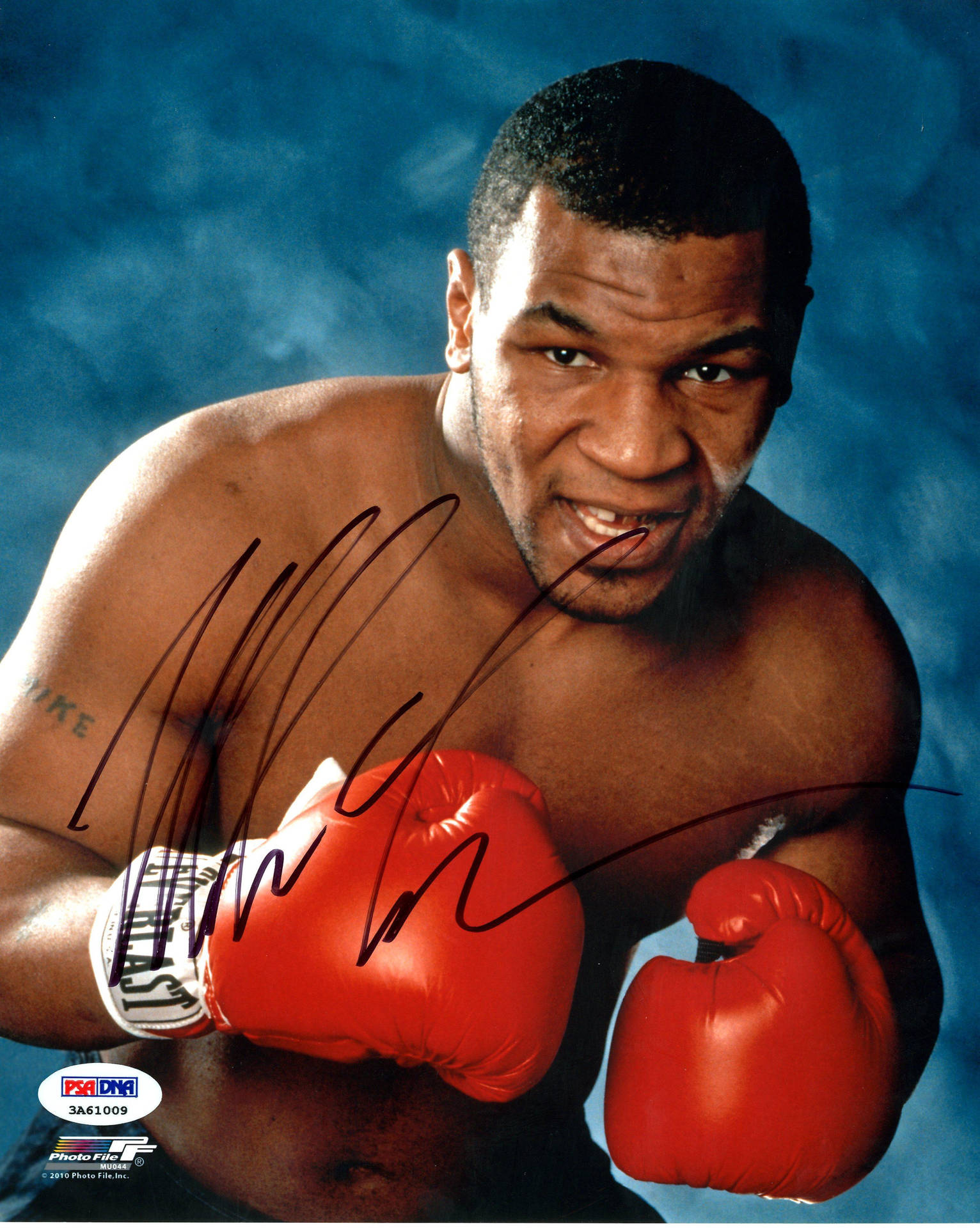 1540x1920 Download Signed Mike Tyson 4K Wallpaper, Phone