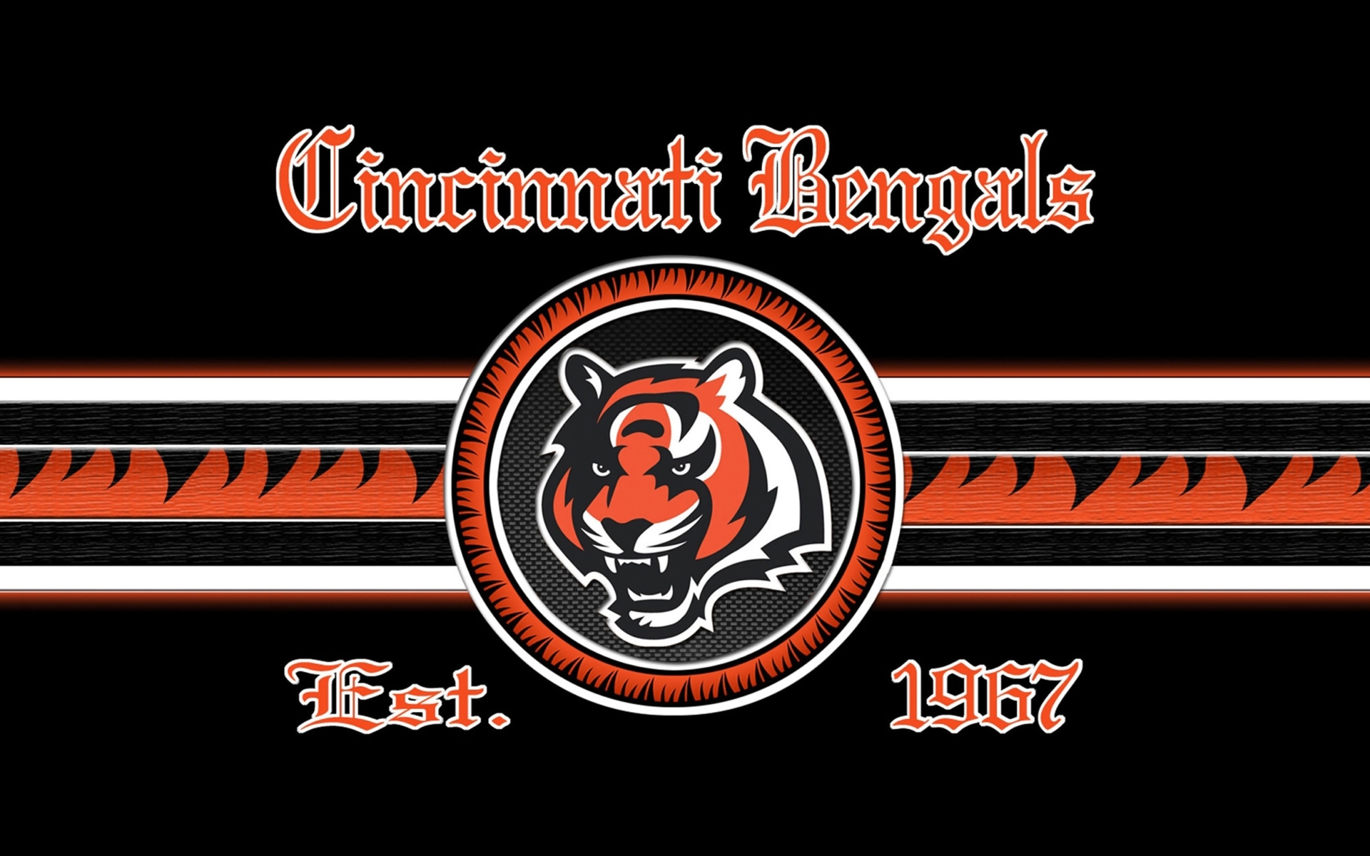 1920x1200 cincinnati, Bengals, Nfl, Football, Ga Wallpaper HD / Desktop and Mobile Background, Desktop