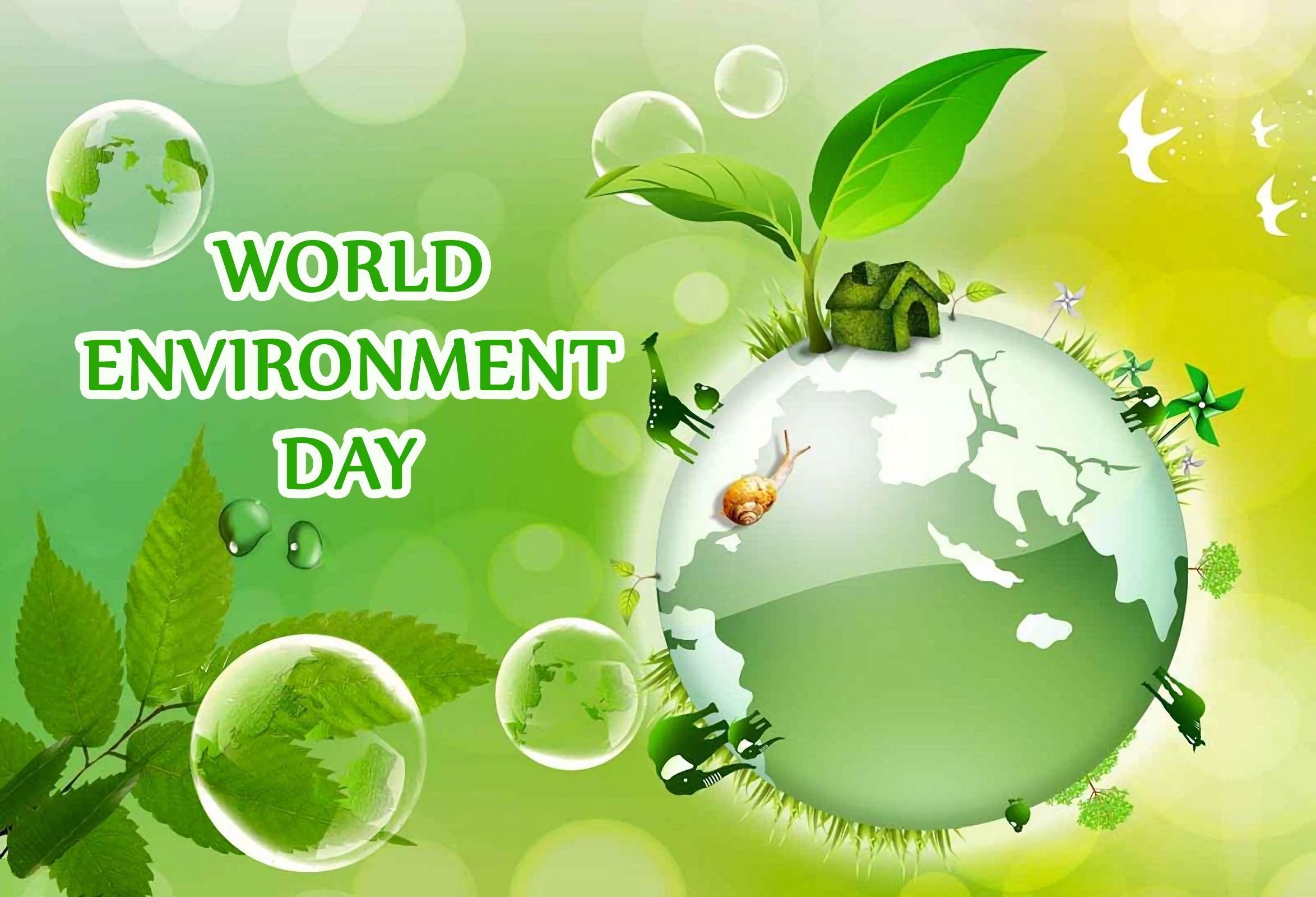 2350x1600 World Environment Day HD Wallpaper, Desktop