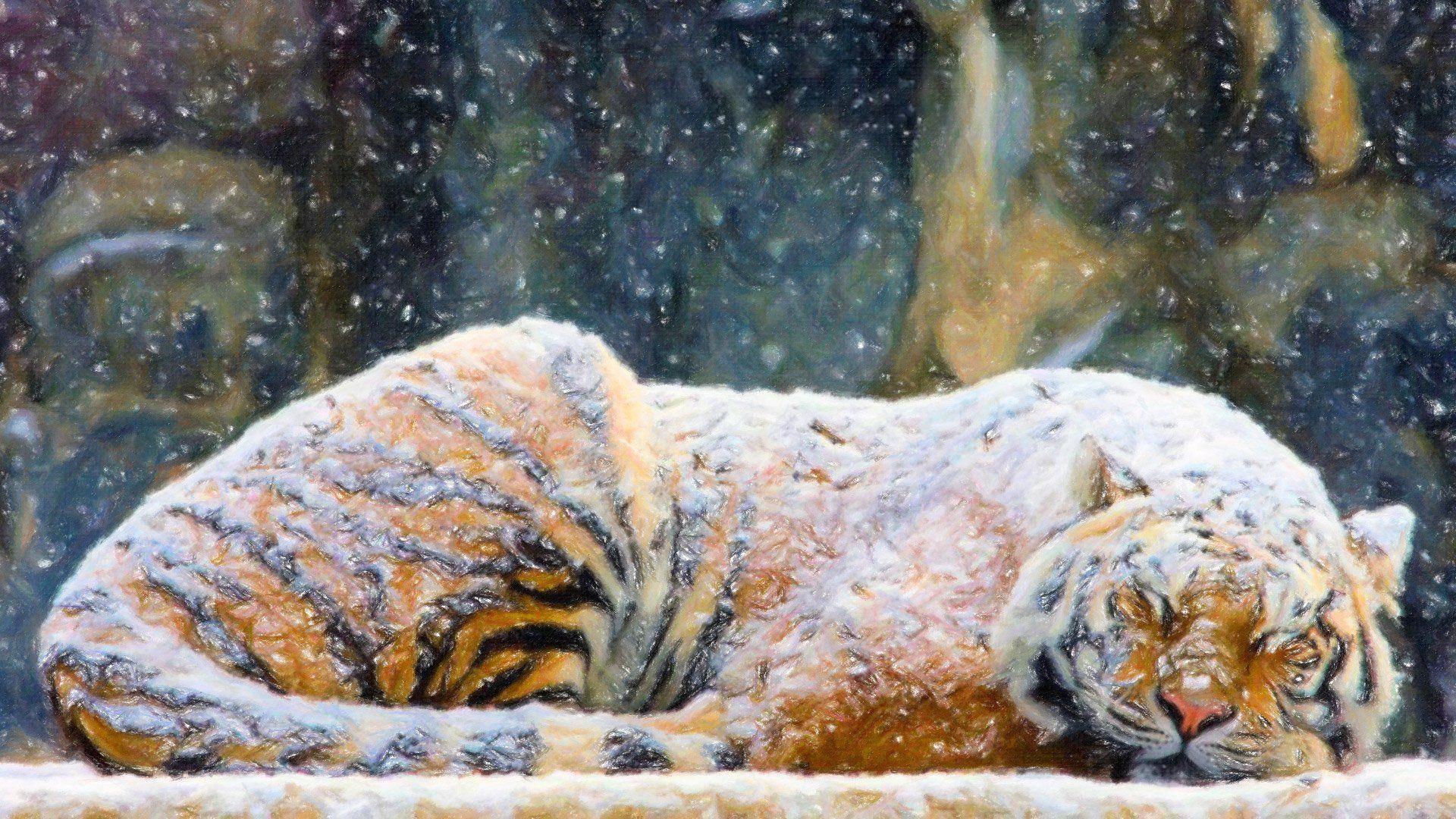 1920x1080 Sleeping Tiger Snow, Desktop