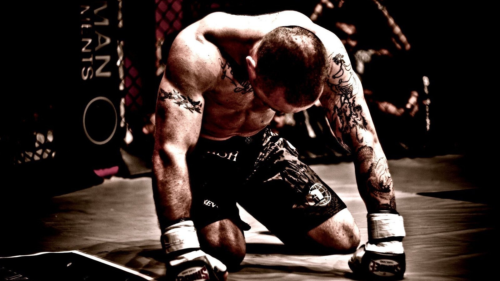 1600x900 Mixed Martial Arts Fighter Men HD, Desktop