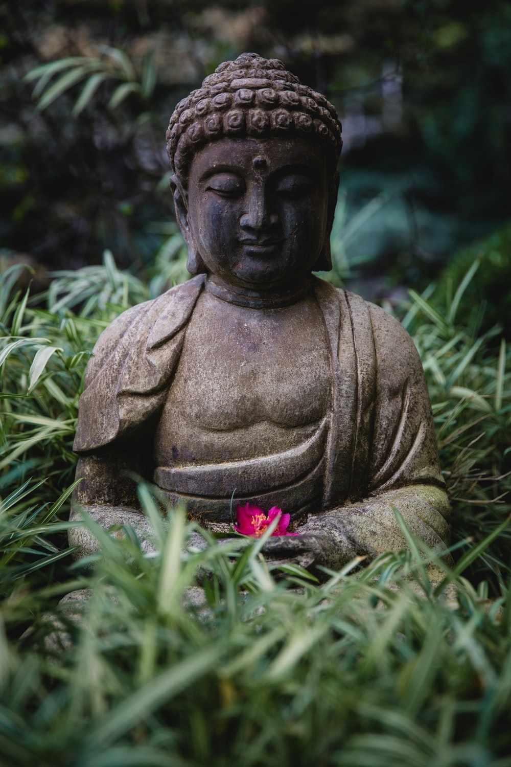 1000x1500 Buddha Picture & Image [HQ]. Download Free Photo, Phone