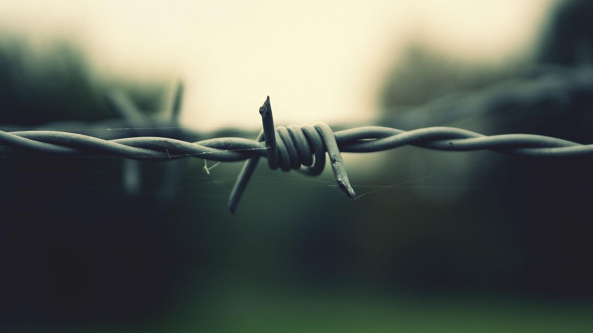 1920x1080 Barb Wire Wallpaper, Desktop