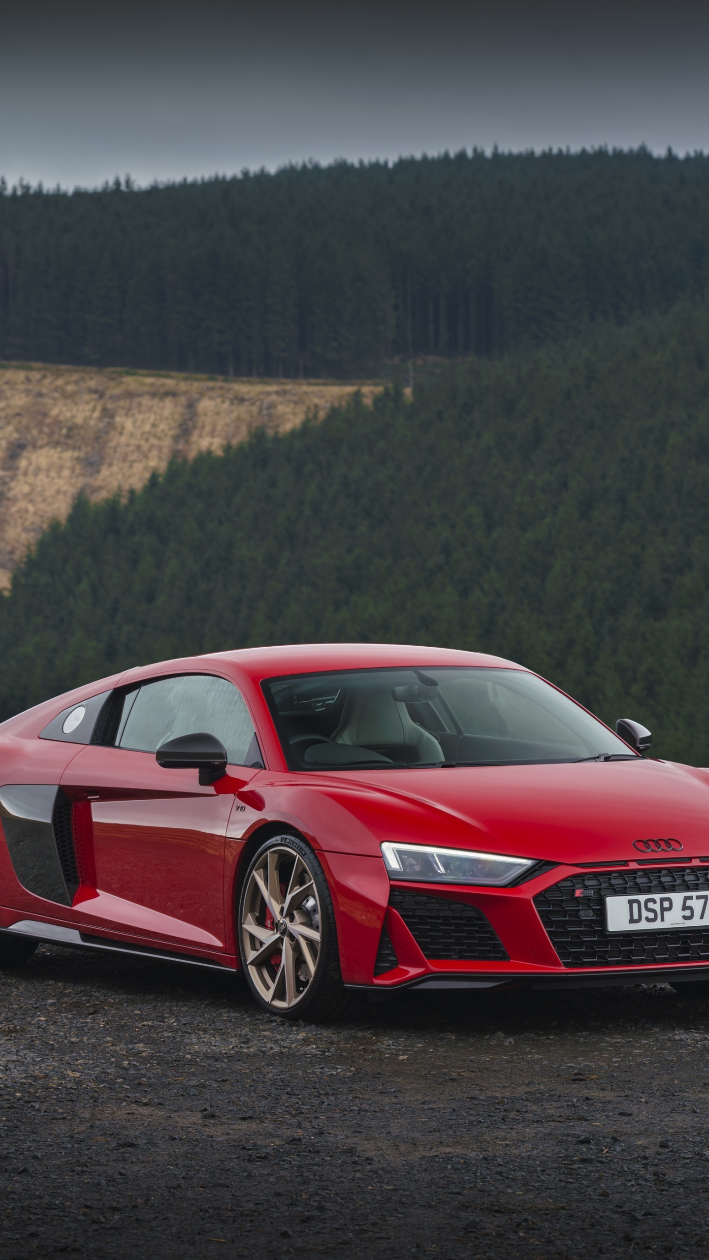 1440x2560 Audi R8 V10 performance RWD Wallpaper 4K, Cars, Phone