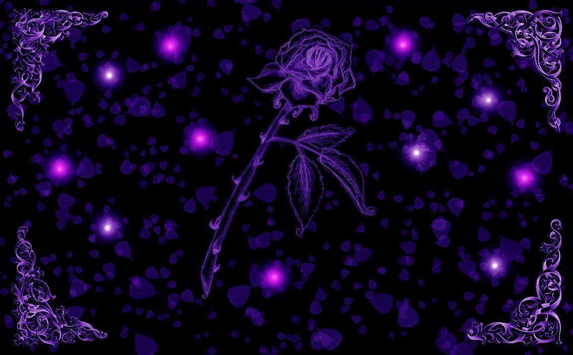 1140x710 Purple Passion Rose Wallpaper, Desktop