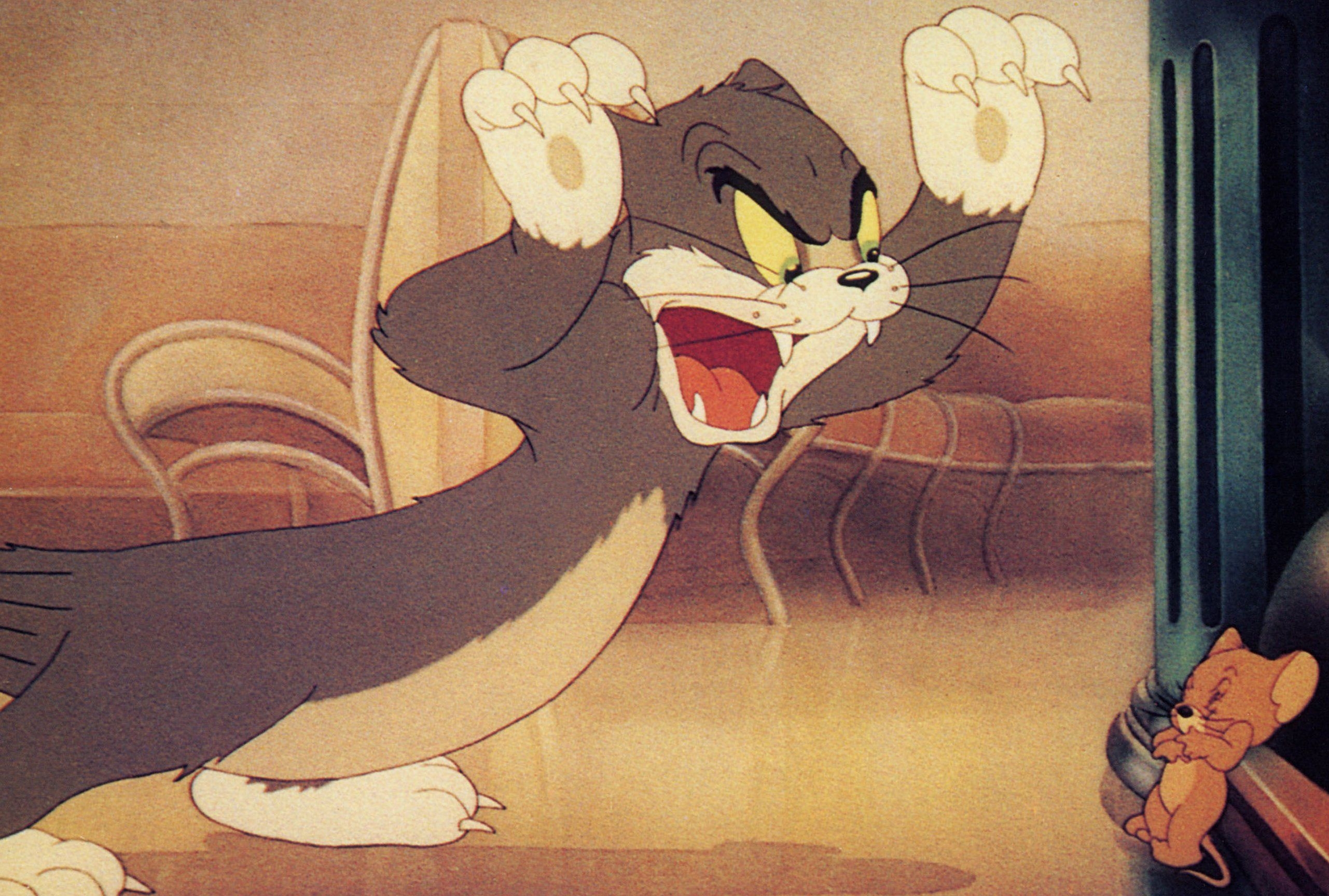 2570x1730 Tom and Jerry: 80 years of cat v mouse, Desktop