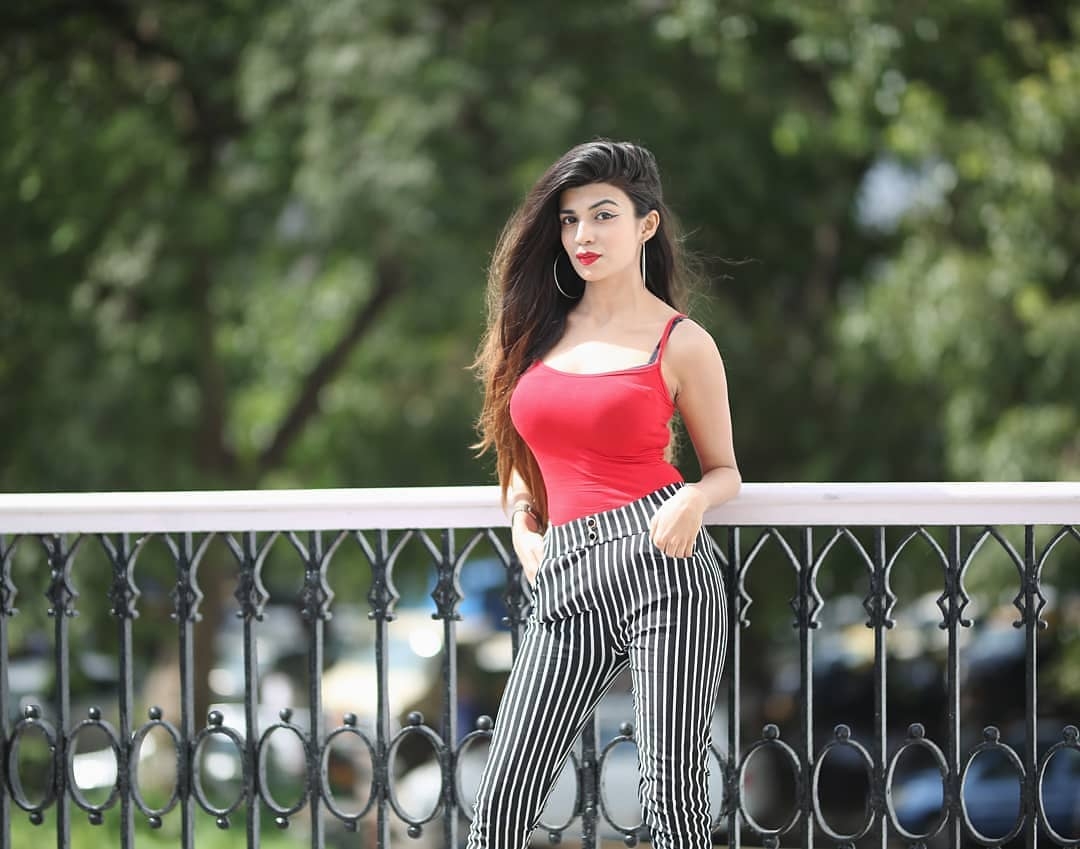 1080x850 Payal Dangodra (Tik Tok) Biography, Family, Wiki, Husband, Desktop