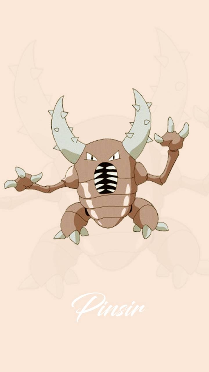 720x1280 Pinsir wallpaper, Phone