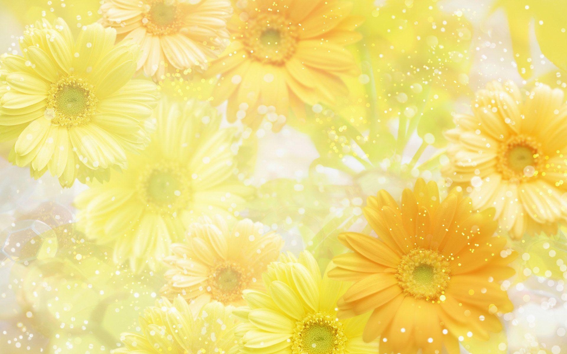 1920x1200 Yellow Flower Background, Desktop