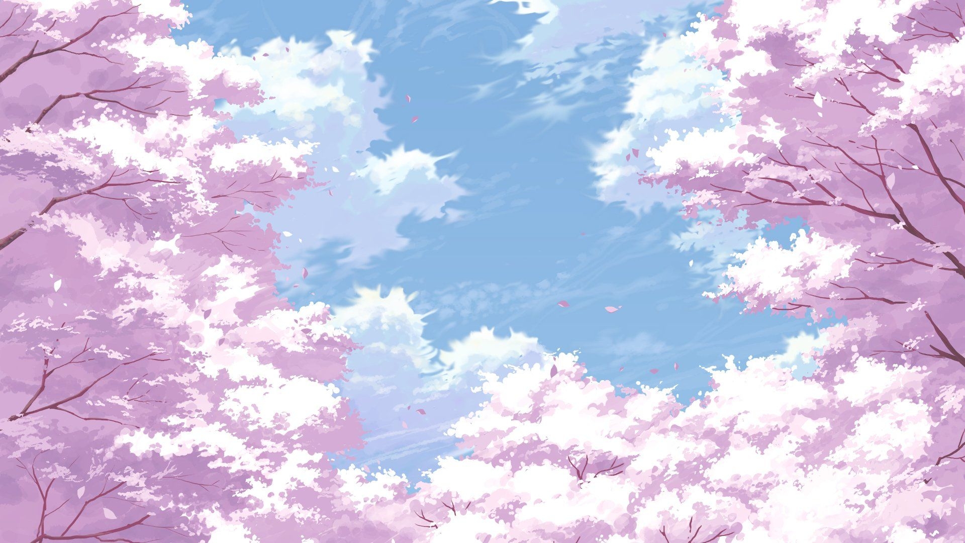 1920x1080 Anime Cherry Blossom Desktop Wallpaper, Desktop