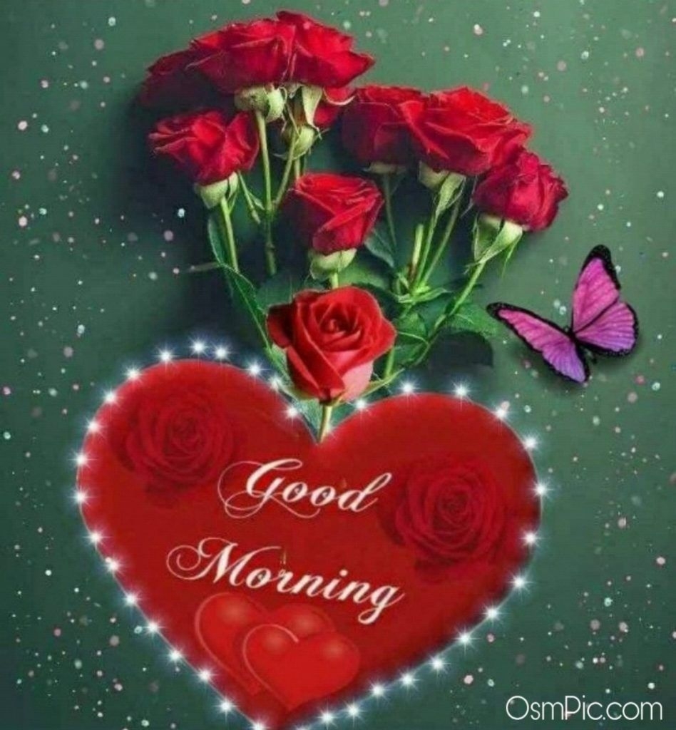 950x1030 Good Morning Rose Flowers Image Picture With Romantic, Red Roses. Good morning roses, Good morning flowers rose, Good morning flowers, Phone