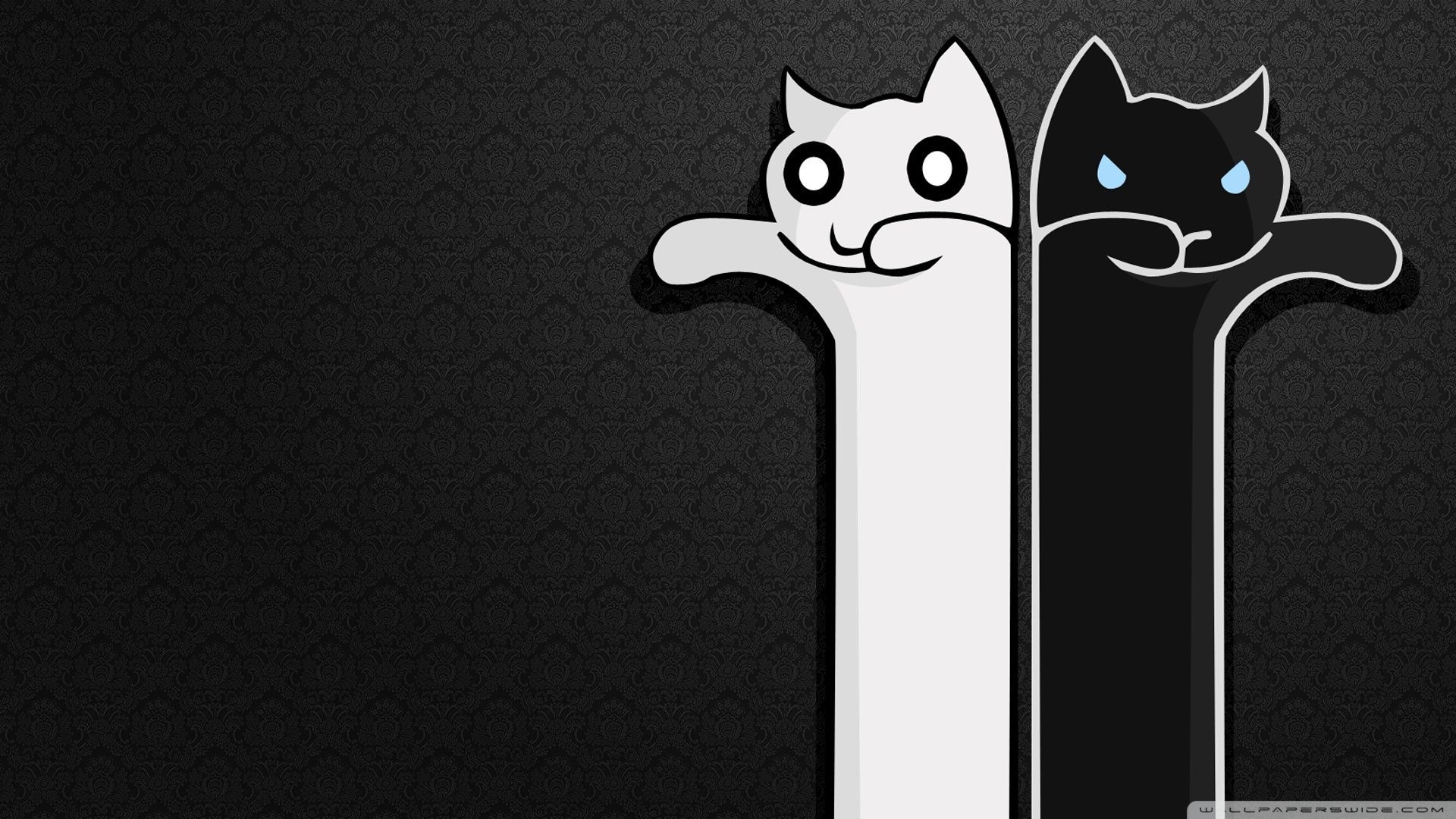 1920x1080 Cartoon Cat Wallpaper Free Cartoon Cat Background, Desktop