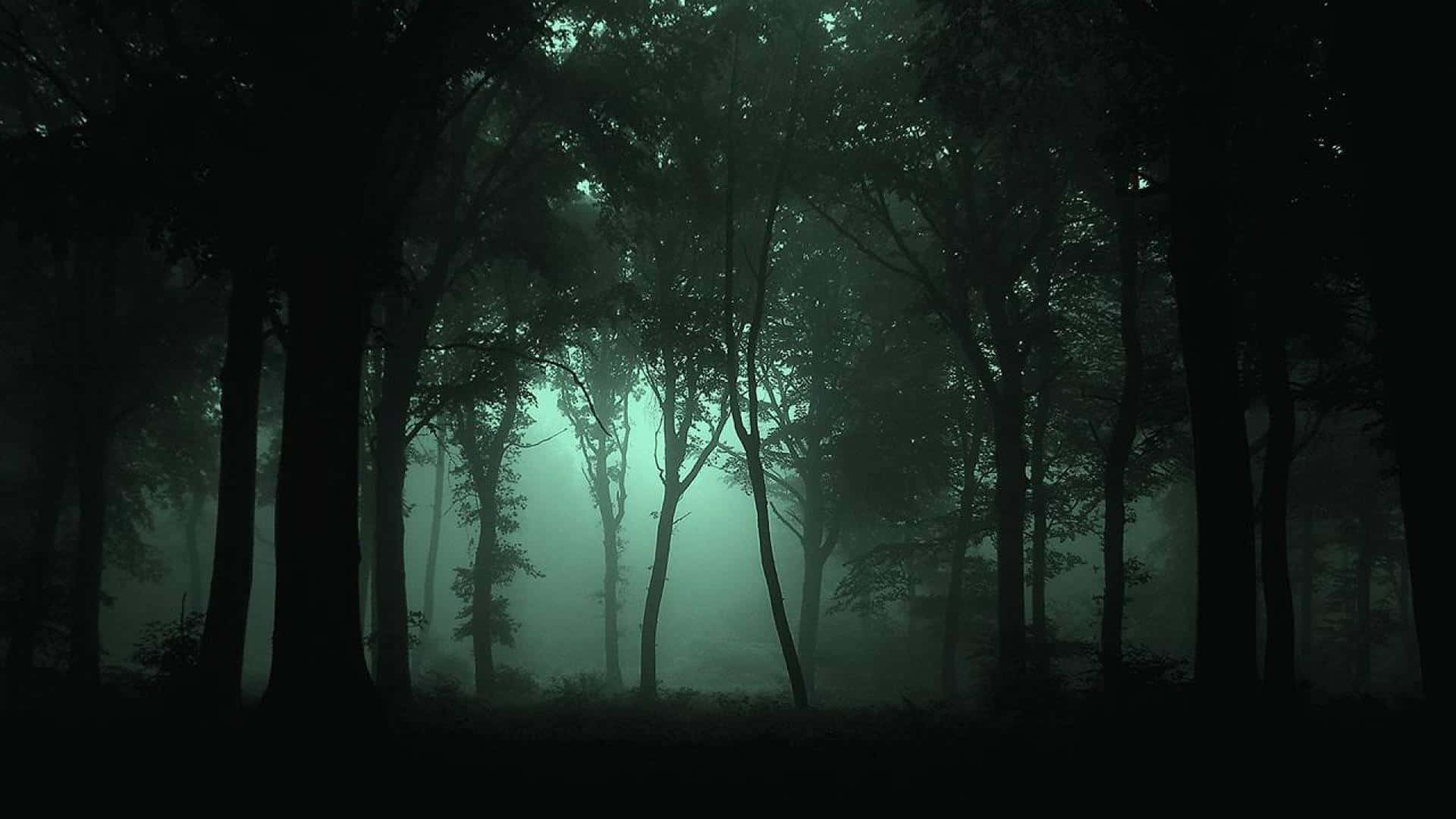 1920x1080 Haunted Forests Wallpaper, Desktop