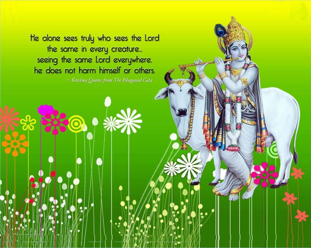 1030x820 Lord Krishna; Rama O Rama, Life isn't a Drama, Life is Dharma, Desktop