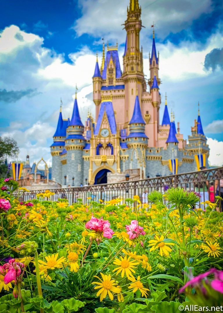 770x1080 Stunning Disney World Wallpaper to, Phone