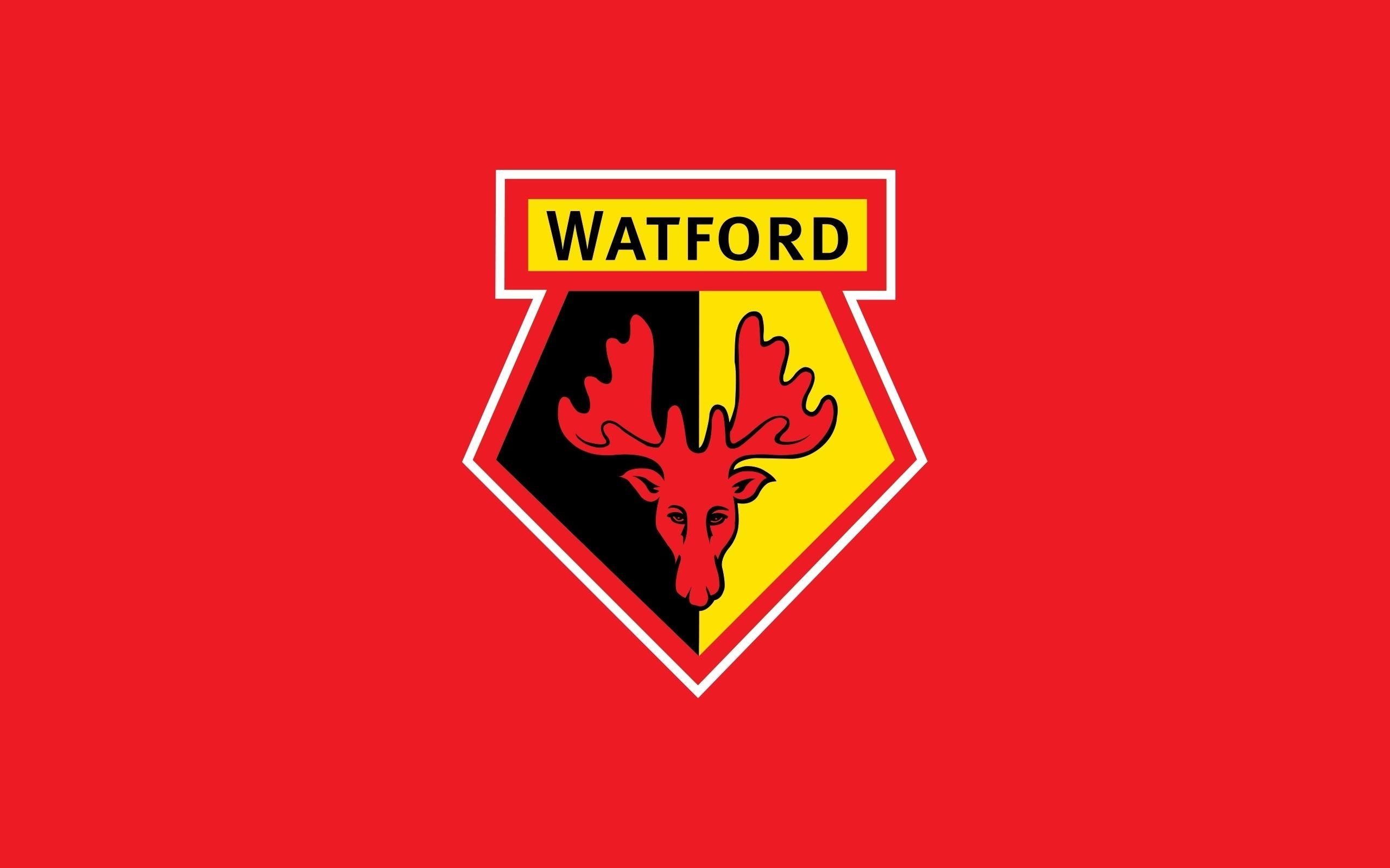 2560x1600 Feyenoord fans flood Watford's official Instagram account, Desktop