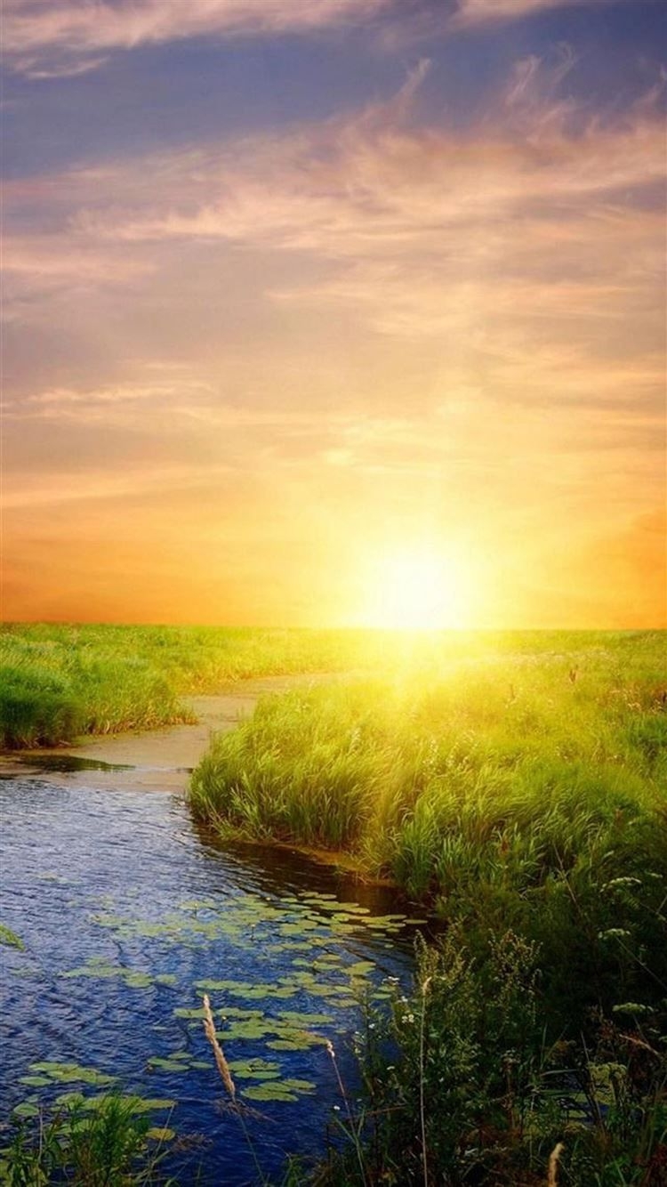 750x1340 Nature Sunrise Bright Lake Field Landscape iPhone 8 Wallpaper Free Download, Phone