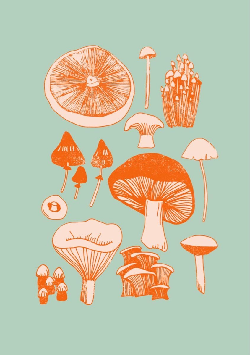 850x1200 Mushroom fungi wall art print. Fungi art, Art collage wall, Mushroom drawing, Phone