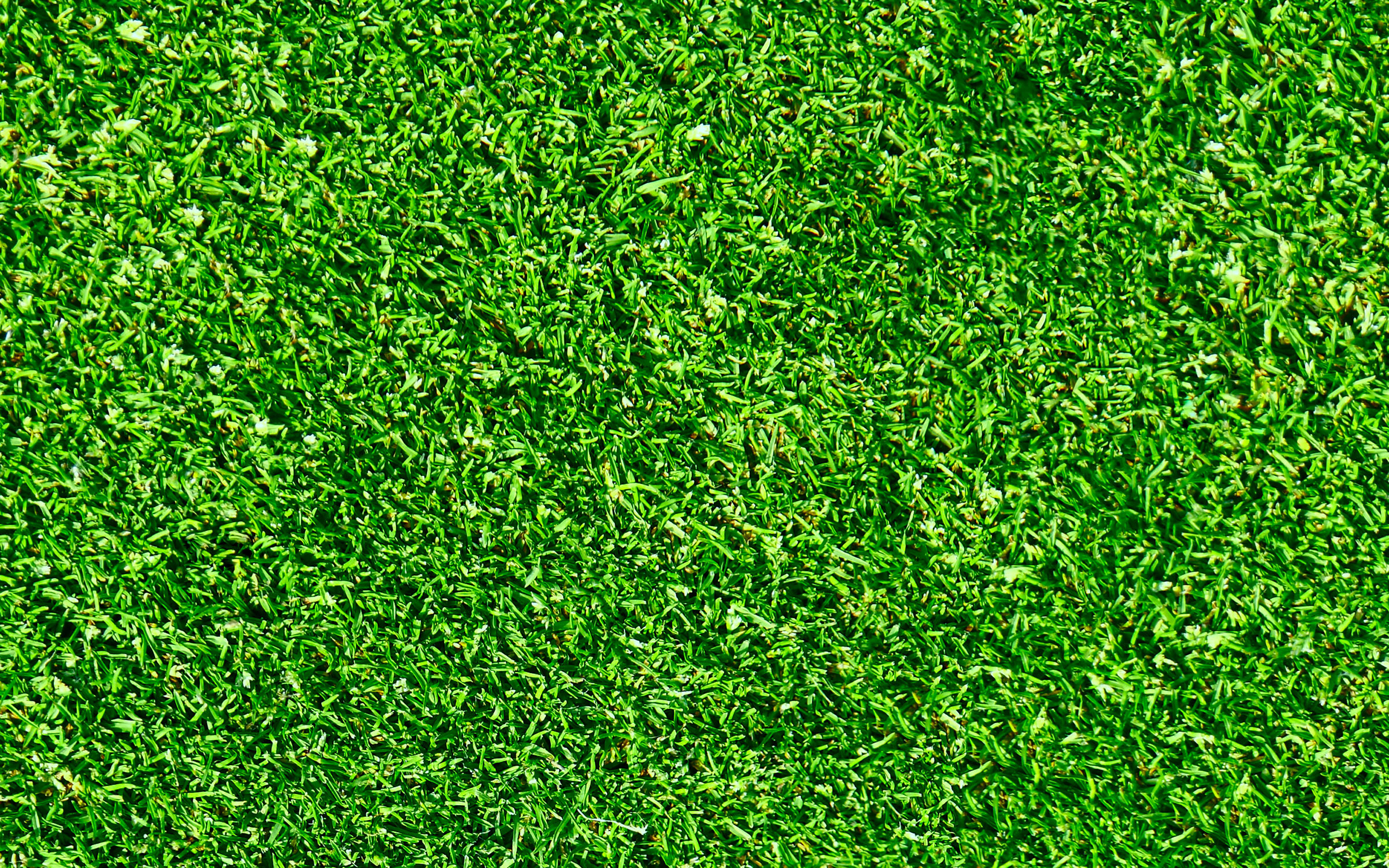 2880x1800 Download wallpaper green grass texture, green grass, beautiful grass, green grass background, natural textures for desktop with resolution. High Quality HD picture wallpaper, Desktop