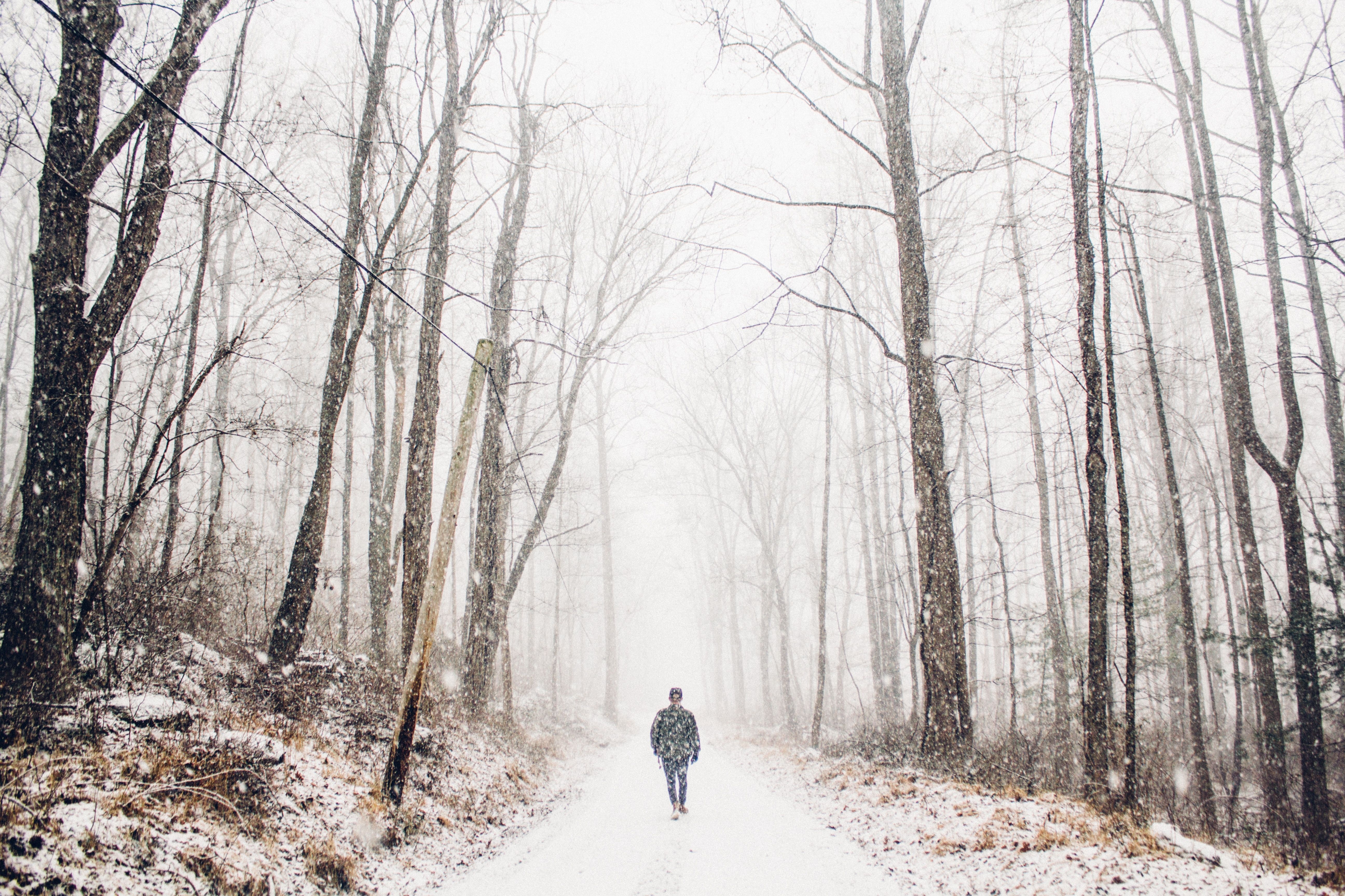 5190x3460 man walking in snow in the middle of the forest free image, Desktop