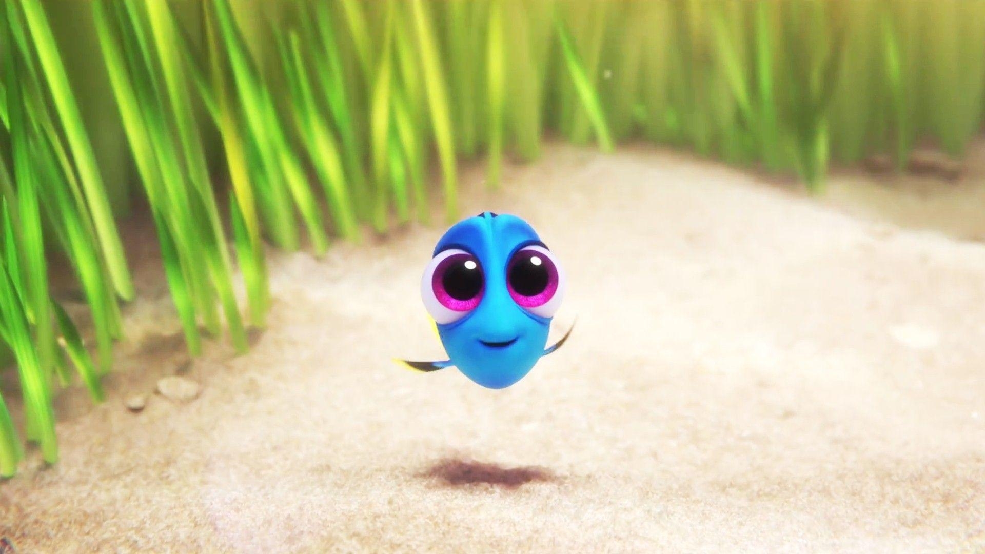 1920x1080 Free download Dory Wallpaper [] for your Desktop, Mobile, Desktop