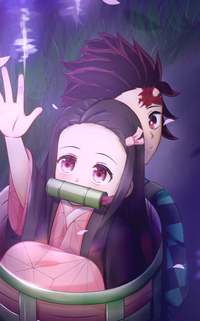 800x1280 Nezuko Wallpaper, Phone