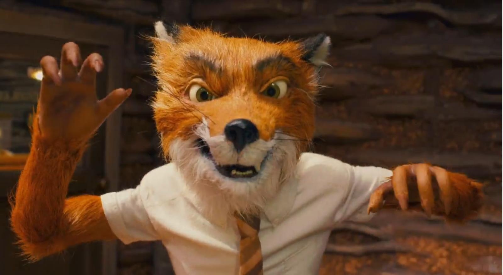 1600x880 the fox Mr. Fox Photo, Desktop