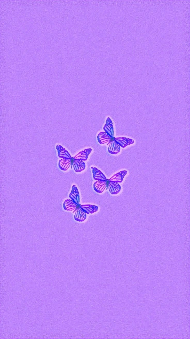 740x1310 Purple butterfly wallpaper. Purple, Phone