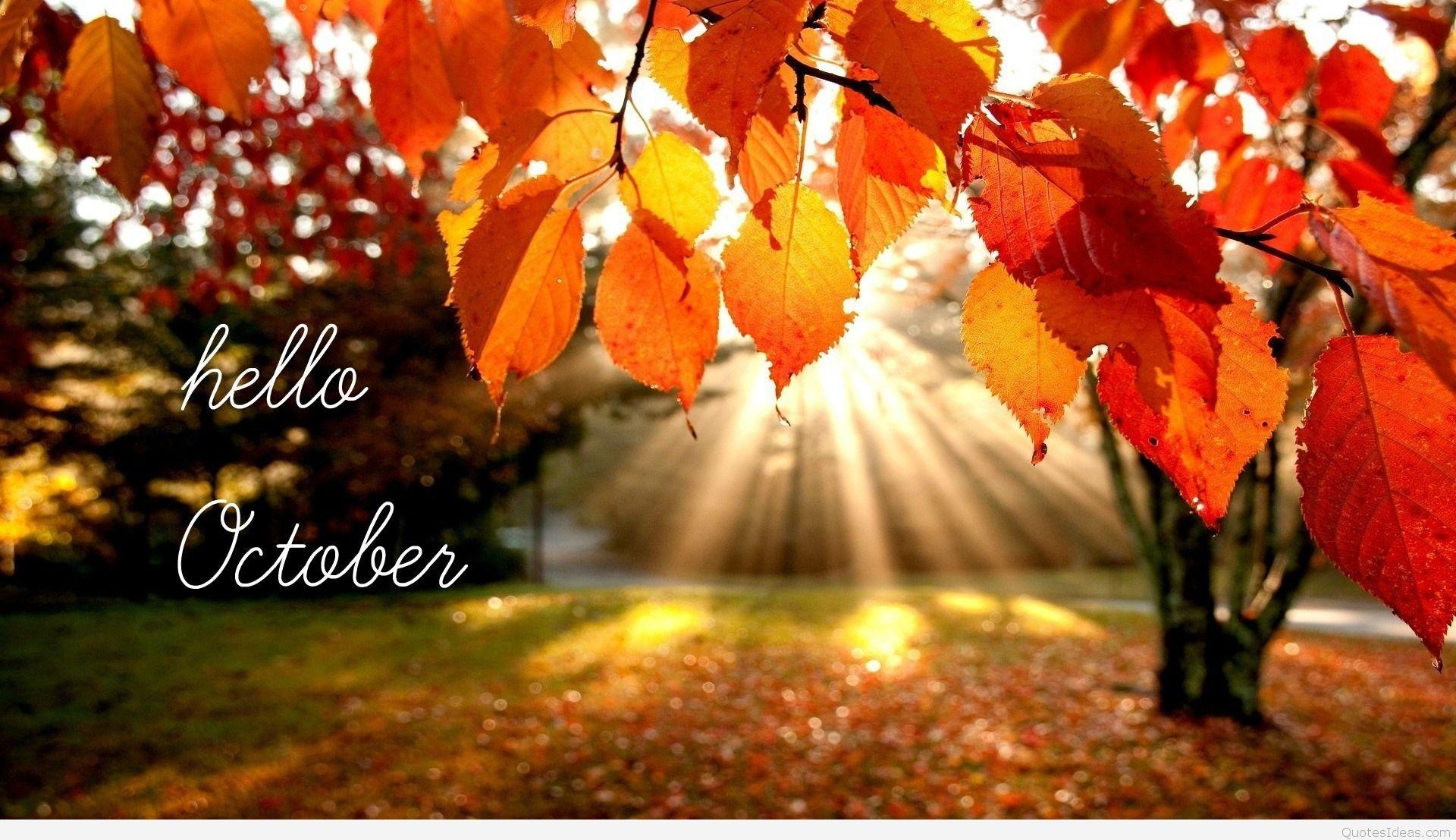 1920x1110 Hello October Wallpaper Free Hello October Background, Desktop