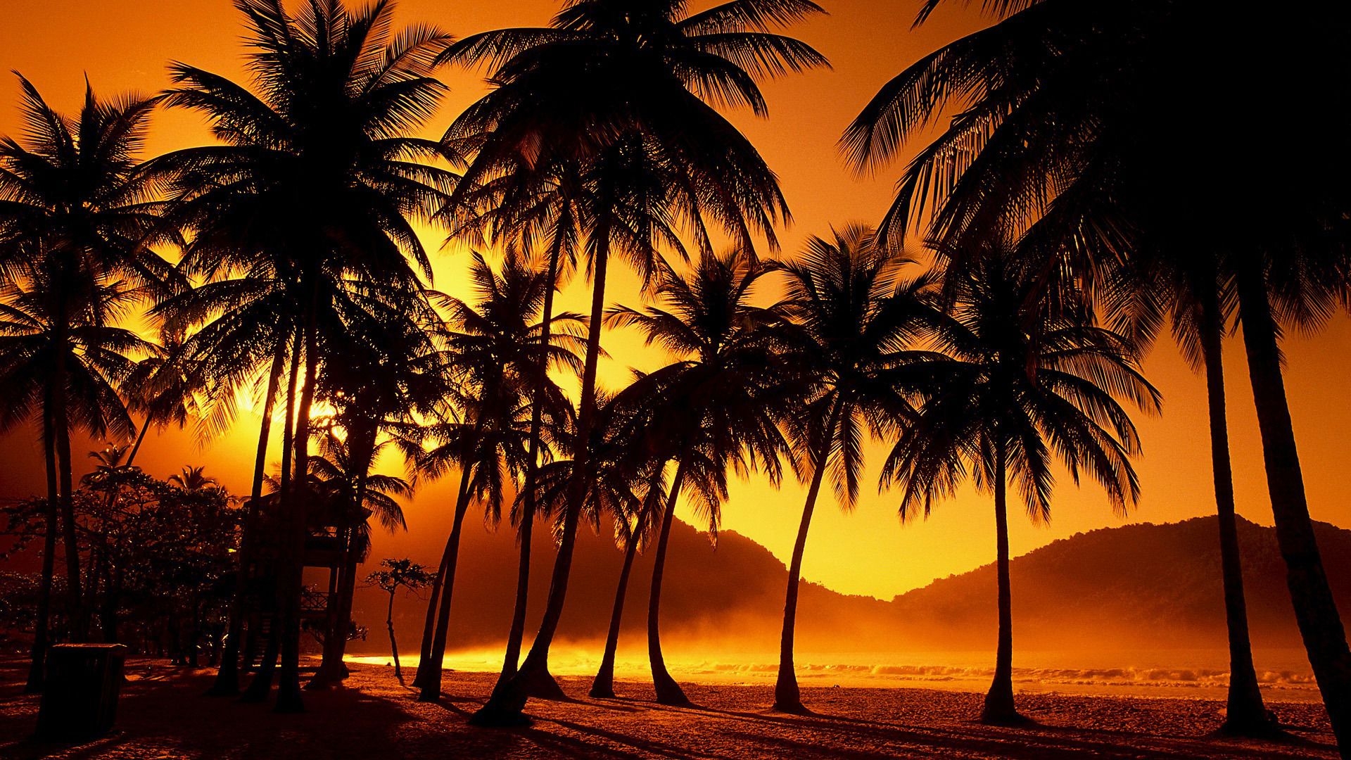 1920x1080 Palm Trees In The Sunset HD Wallpaper.horizononesolutions.com, Desktop