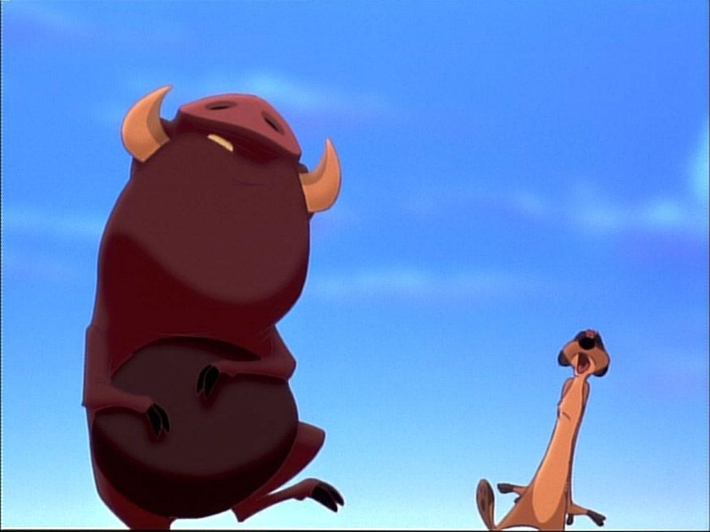 1030x770 Related Picture Timon And Pumba Image Wallpaper, Desktop