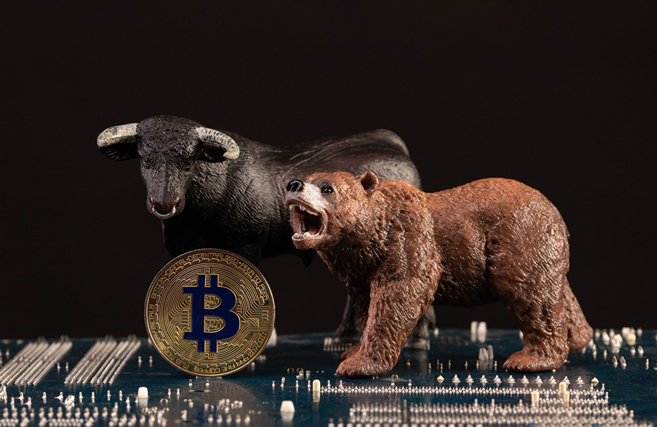 1280x840 Photos Coins Bulls Bitcoin bear Black background, Desktop