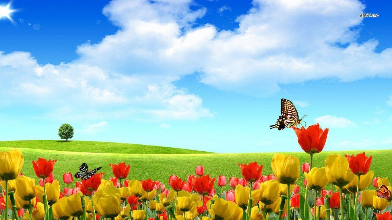 1370x770 image Of Nature Summer And Picture, Desktop