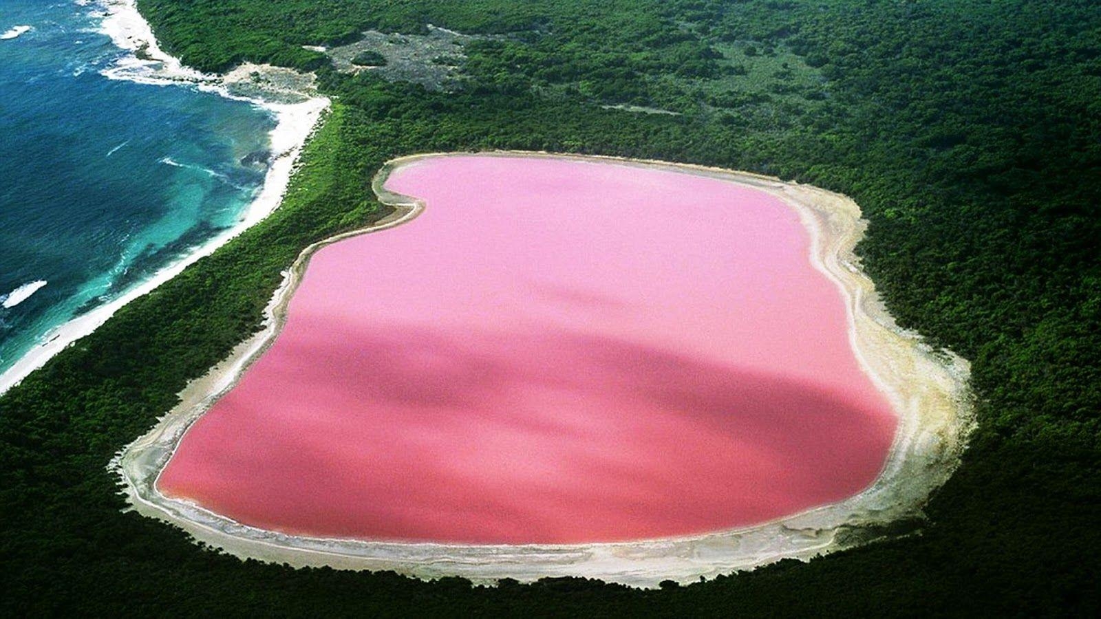 1600x900 The pink lake Retba Tripfreakz.com, Desktop